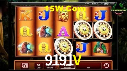 Login Seguro 9191V