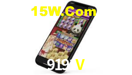 9191V